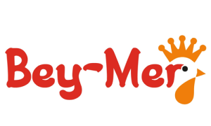 logo_6